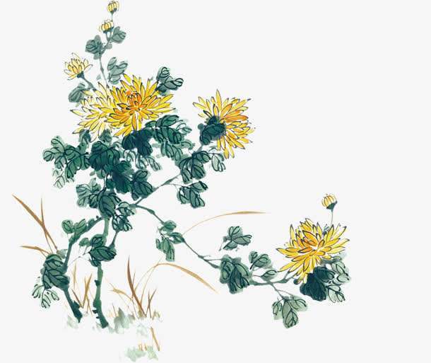 李清照重阳菊花的诗句,李清照写的菊花名句