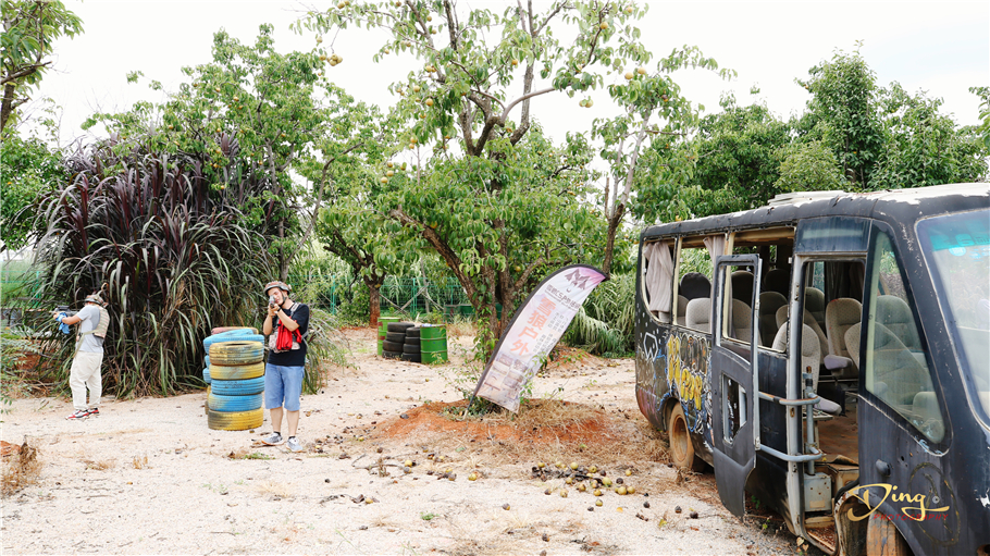 婊囨睜鍙ゆ粐鐜嬪浗闇茶惀,浜戝崡鎴峰閲庡ア钀ュ湴鎺ㄨ崘