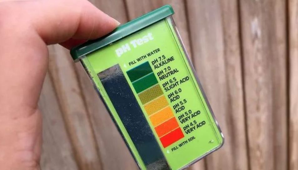 如何检测土壤的ph具体方法,如何不用ph试纸判断土壤的酸碱性