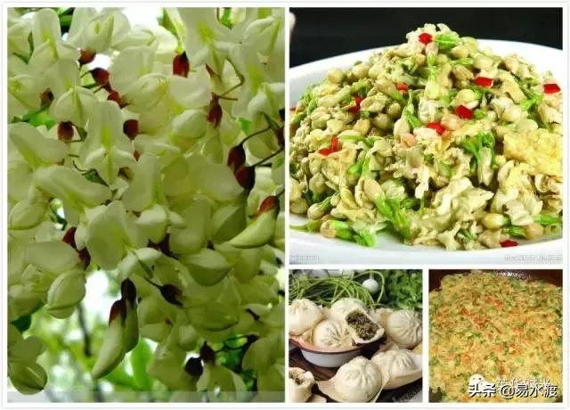 易县好看的视频,易县哪儿的好看