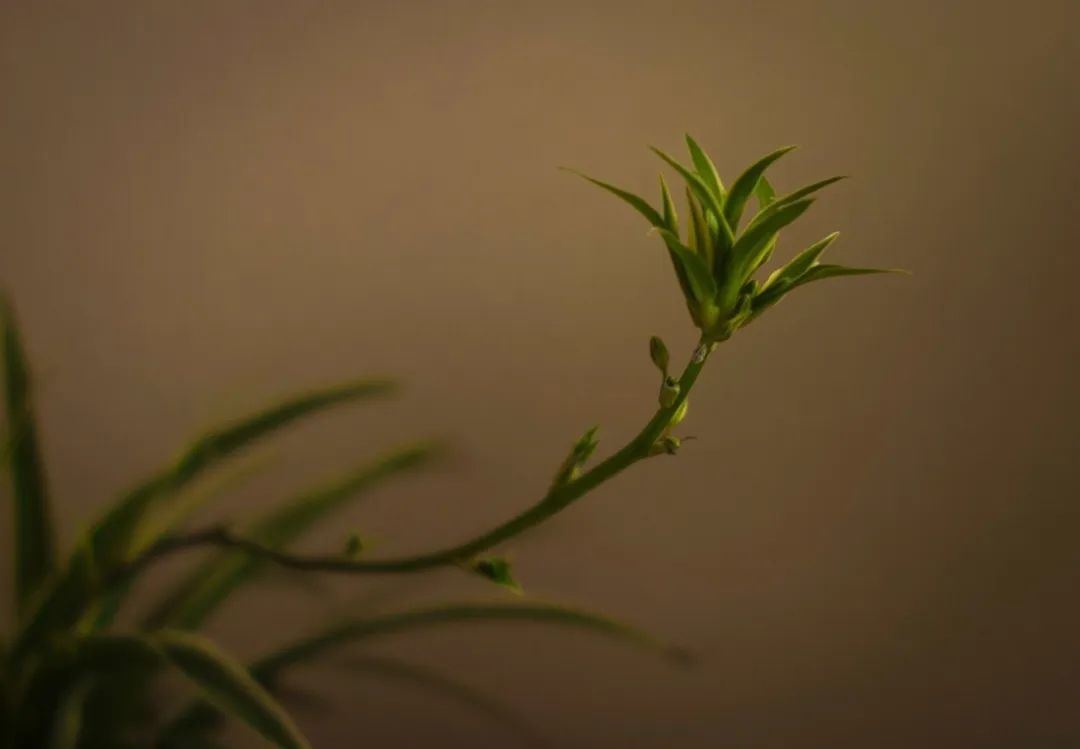 pr大咖教您玩转公关秘籍,如何做pr品牌公关推广