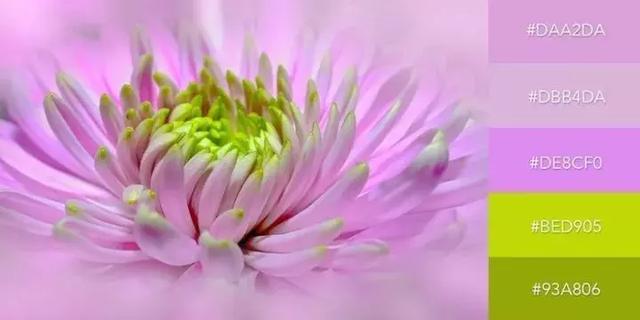 999张照片模板,999999999的创意图片