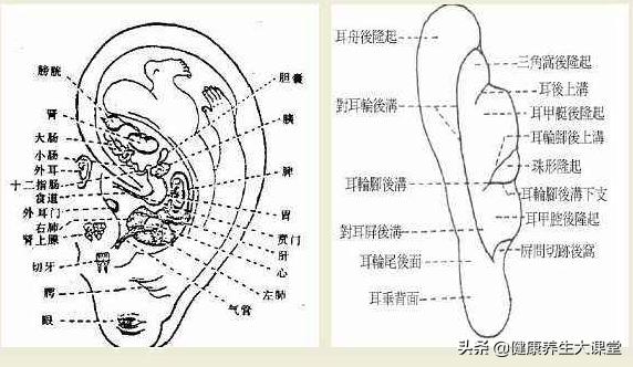 中医诊断望闻问切哪个最重要,中医诊断望舌知识点