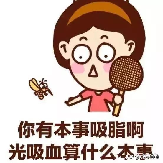 蚊虫传播的是什么脑膜炎,乙脑的传播媒介是什么蚊子