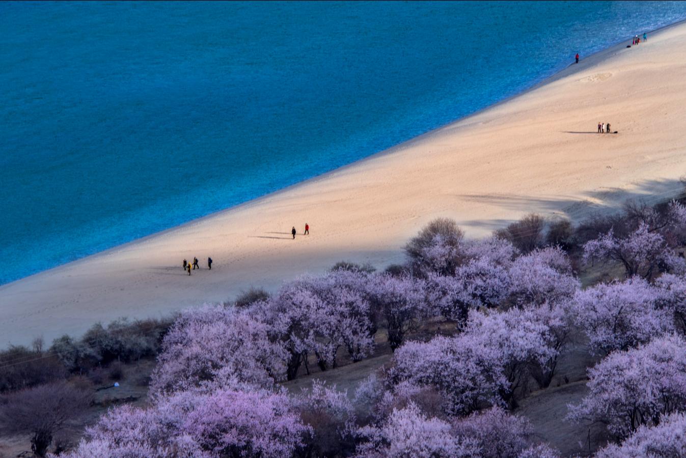 孟非进西藏遇到了什么,孟非西藏最新视频