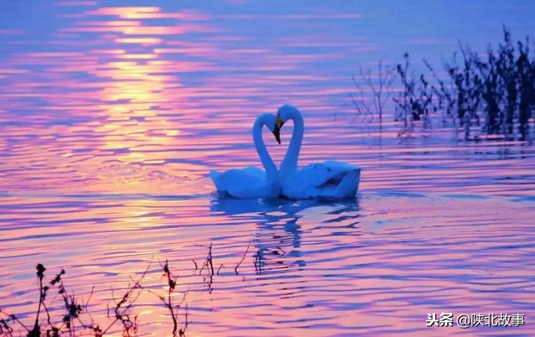 这个最适合冬天来的北方小城，光是海鲜就能让你吃回票价