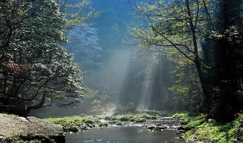 桑植誉满三湘,桑植土特产有些什么品种