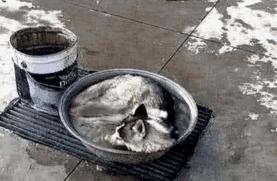 搞笑GIF动图:小姐姐,你体验木乃伊的制作过程,能坚持几分钟