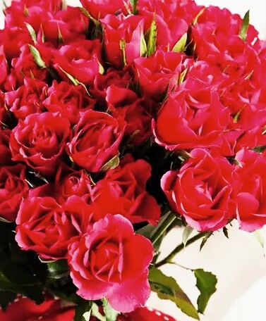 什么叫团结是最好的力量,有一种力量叫团结优美句子