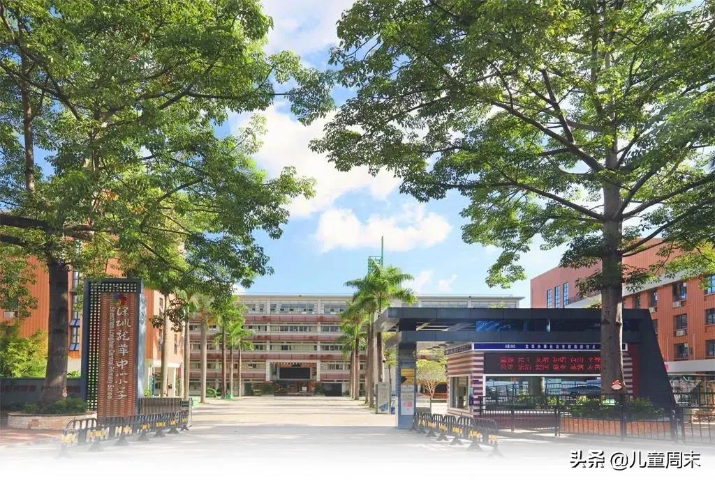 深圳龙华私立小学排名一览表,深圳龙华私立小学排名和学费