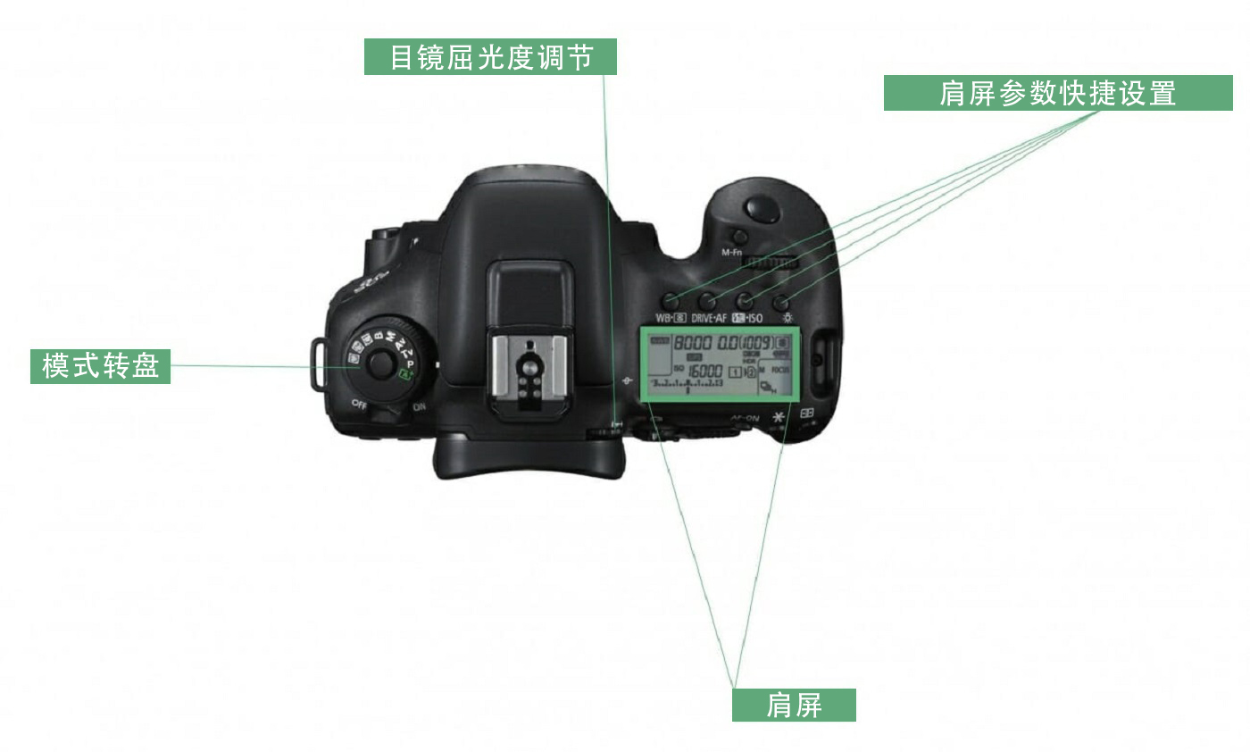 单反各档的正确使用方法,单反相机这些按钮都是什么功能