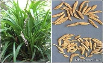 湖北省咸宁市有哪些特产,湖北省洪湖北市最新特产