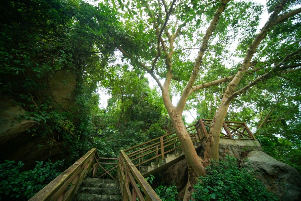广西民宿推荐5天4晚,广西最美的民宿有泳池