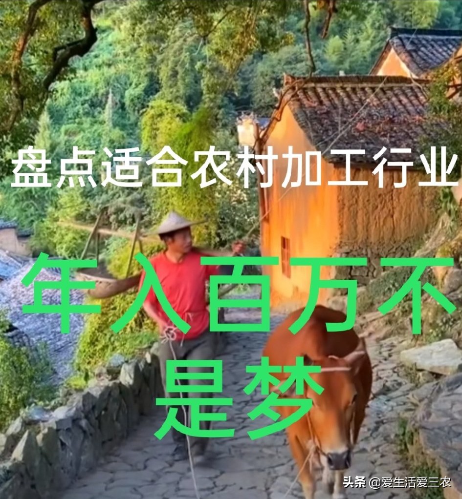 在农村做什么小型加工厂不愁销路,在农村开这4个加工厂不愁没销路