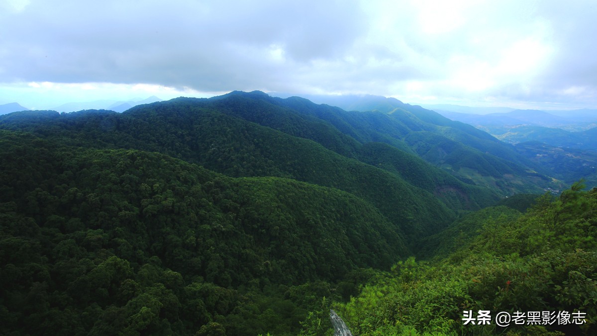 无量山镇游玩攻略一日游,无量山旅游攻略一日游多少钱