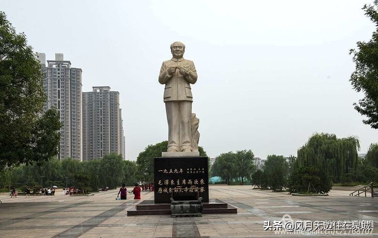 济南一颗梧桐树,济南的法国梧桐