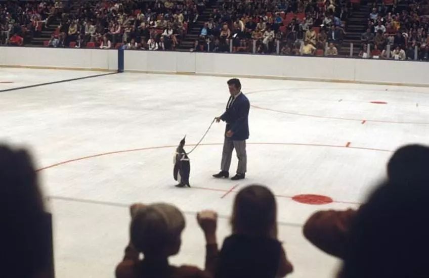 冰场上扔章鱼，开派对弄丢斯坦利杯……这些操作你见过吗？