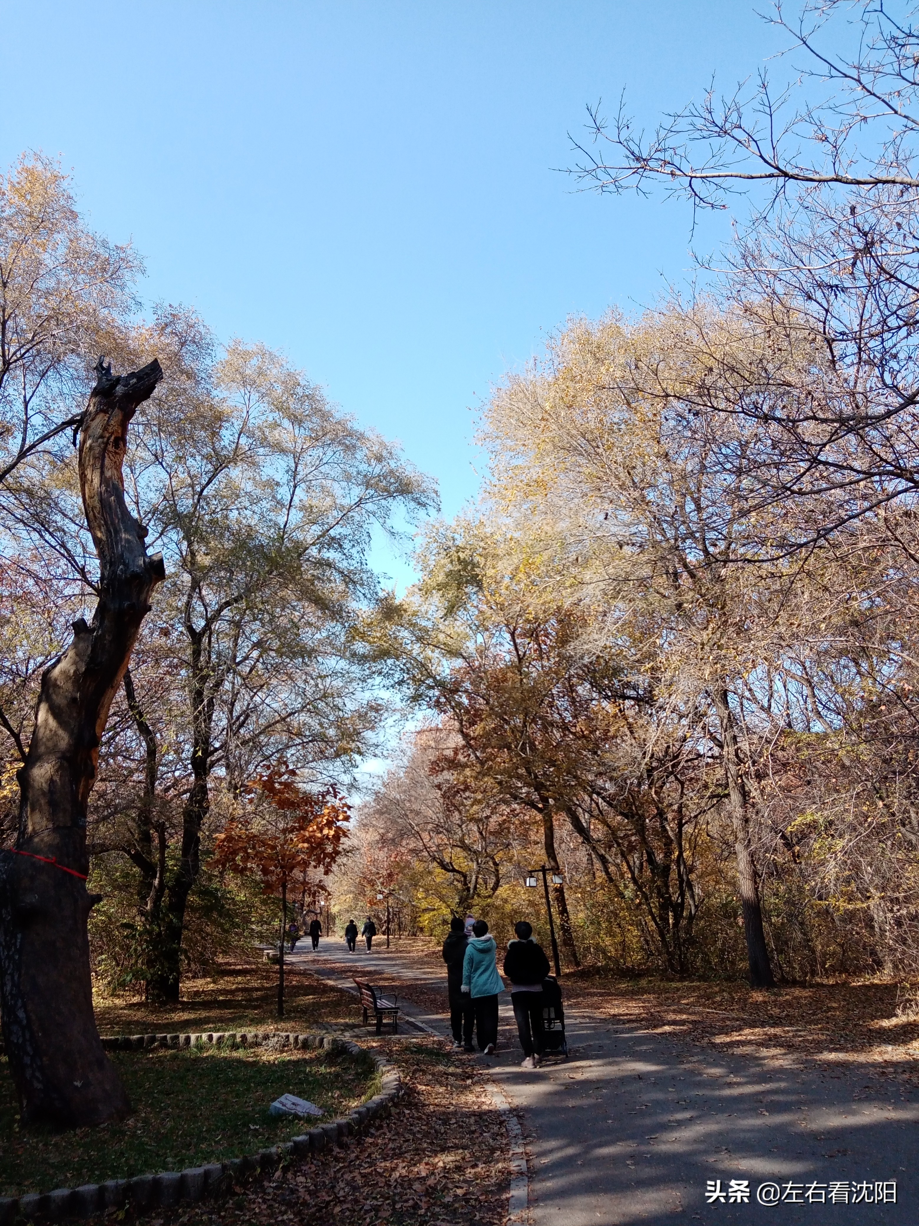 秋季沈阳北陵公园有啥好玩的,漫步沈阳北陵公园湖水边