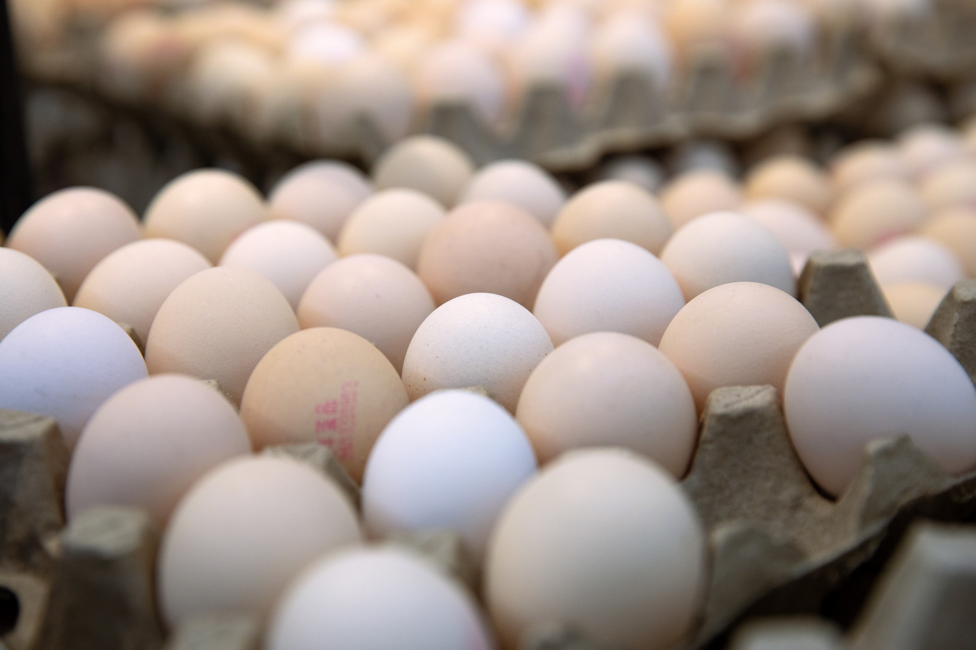 为啥月子里非得吃鸡蛋？不吃真的不行吗？答案出乎意料