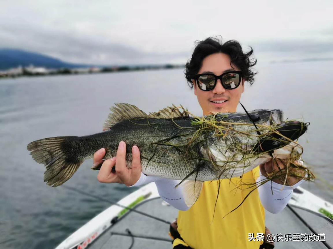 钓鲈鱼的控饵方法和技巧,无铅钓组钓鲈鱼的正确手法