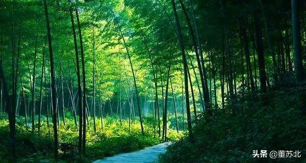 广东广宁县十大首富,广东广宁县简介