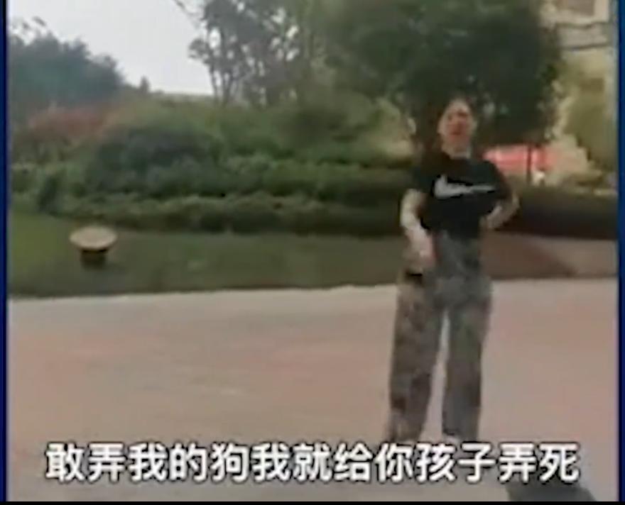 徽州宴老板娘的狗值多少钱,徽州宴老板娘到底养了多少条狗