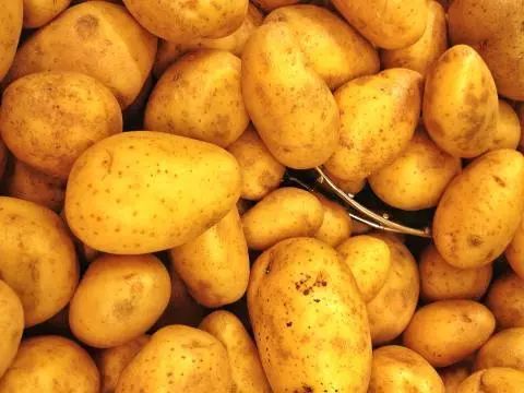 吃马铃薯发芽中毒案例,不小心误食了生土豆怎么办