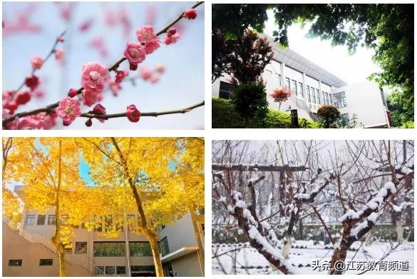 天天云招生|南京机电职业技术学院：有爱有情怀，南京机电等你来！