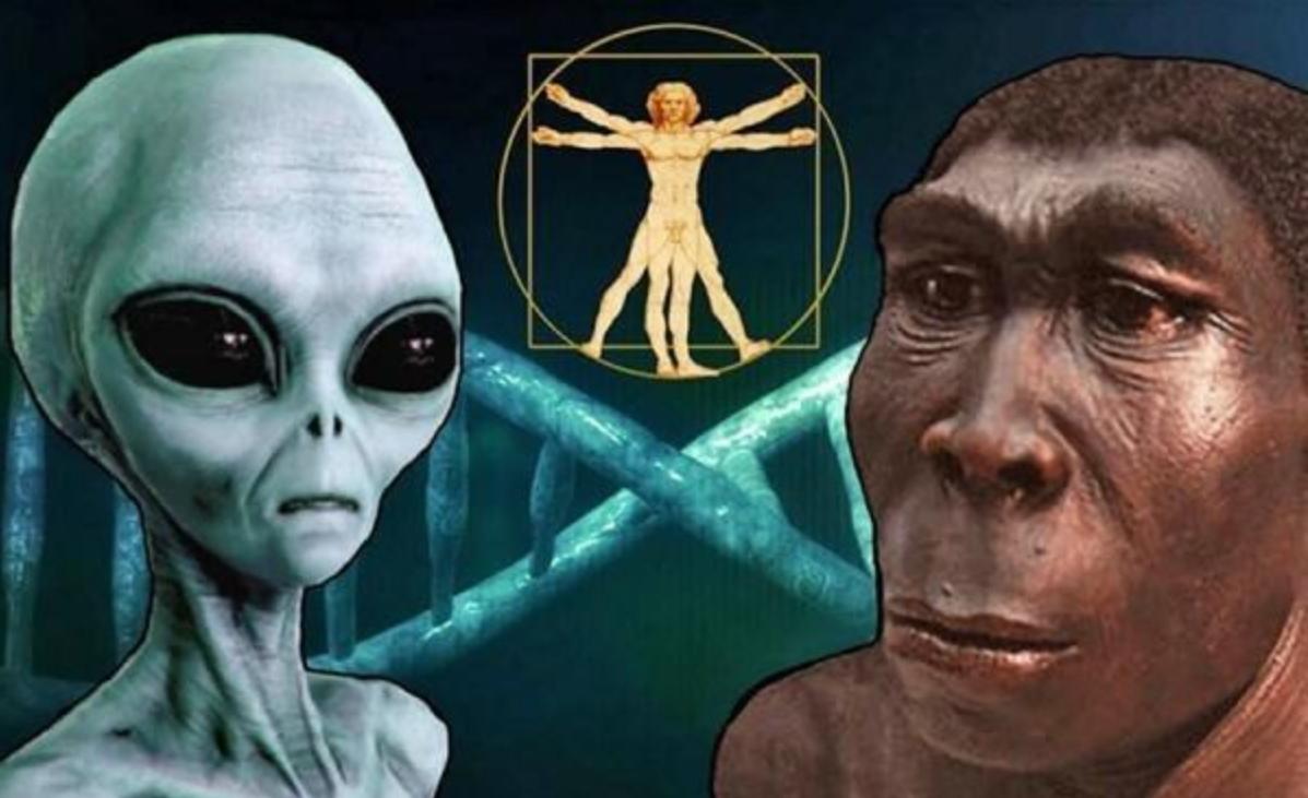 资本思维与金融思维,线性思维和指数型的区别