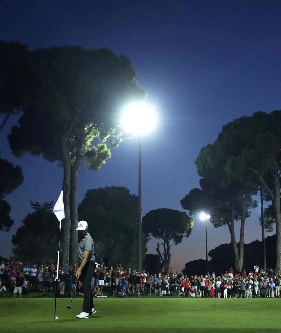 总统杯大名单出炉；加洞到天黑；钓鱼挥杆钓到冠军；球丢光了被DQ