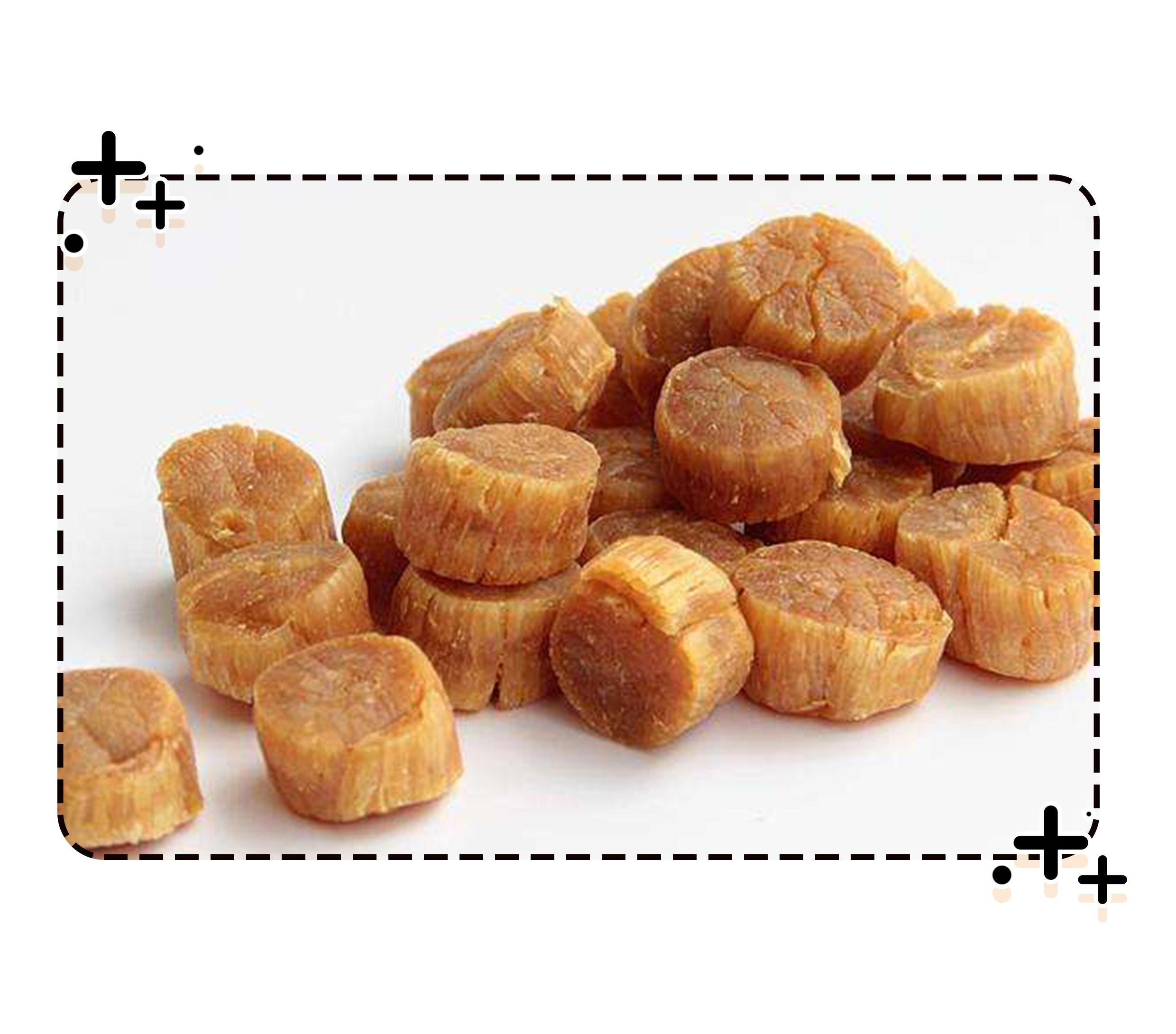 能让扇贝跑路的瑶柱，还堪称海中的“天然味精”（菲李漫画）