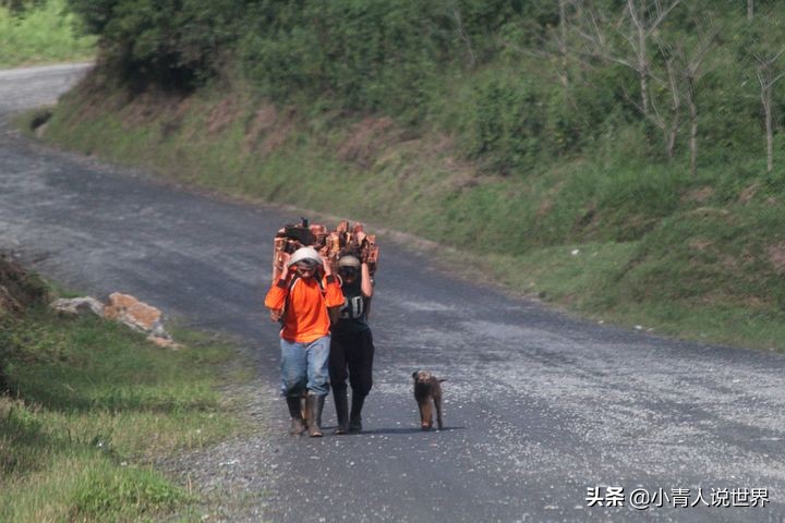 危地马拉有什么危害,危地马拉是个什么国家
