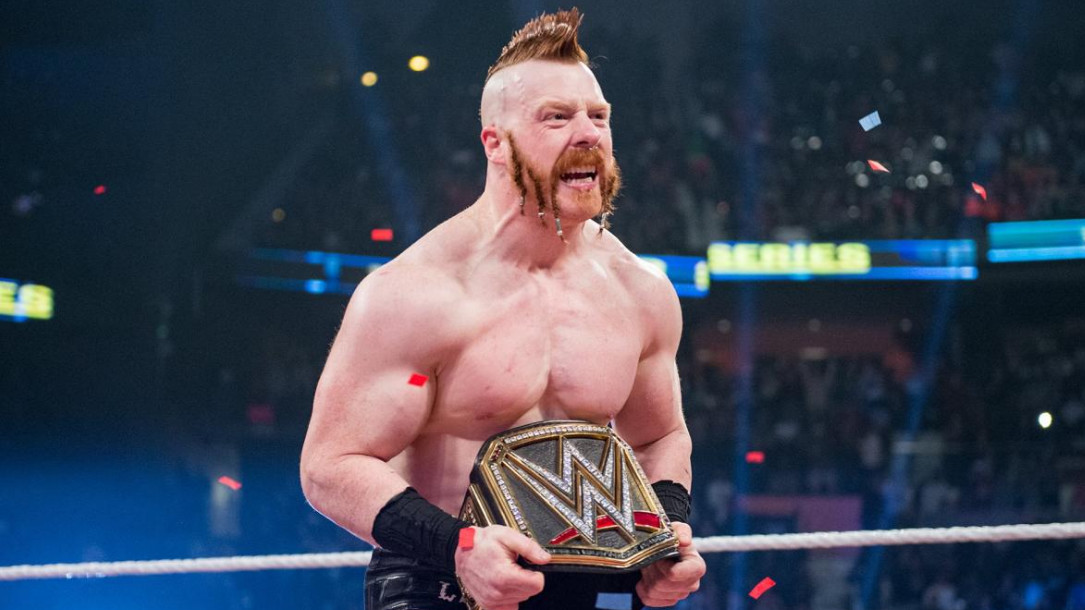 wwe公布了史上最佳的十大团体,wwe投票