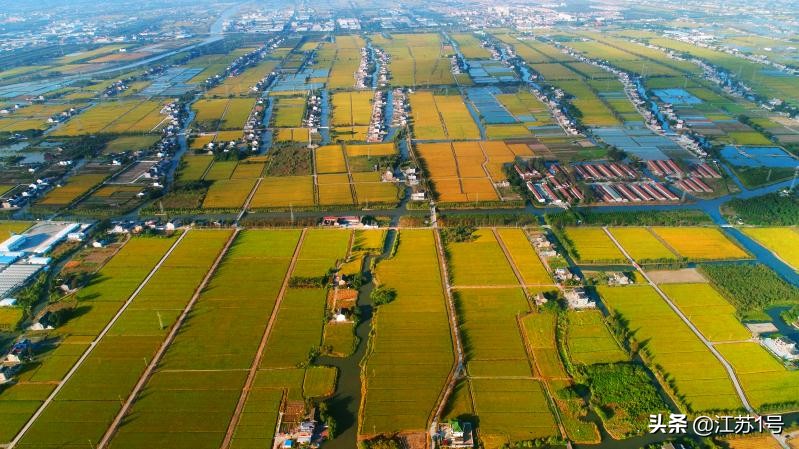 农业集体化是不是大锅饭,集体制农场