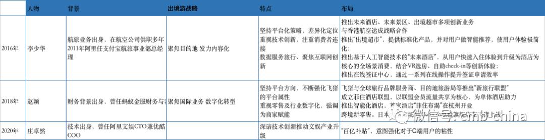 一只“自嗨”的飞猪飞过双十一
