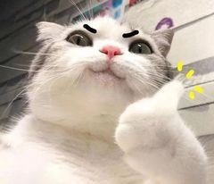 粉饼碎了不要扔,这样做马上又是新的一盒