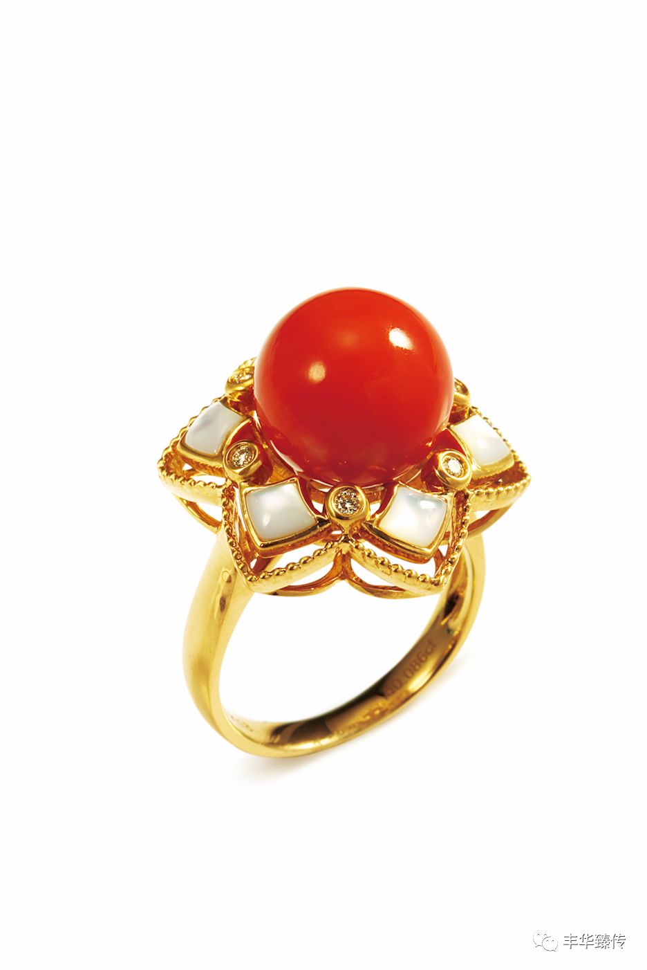 秋雨发梢，梦幻情怀，戴着你的水晶珠链，请跟我来！帽哥出品