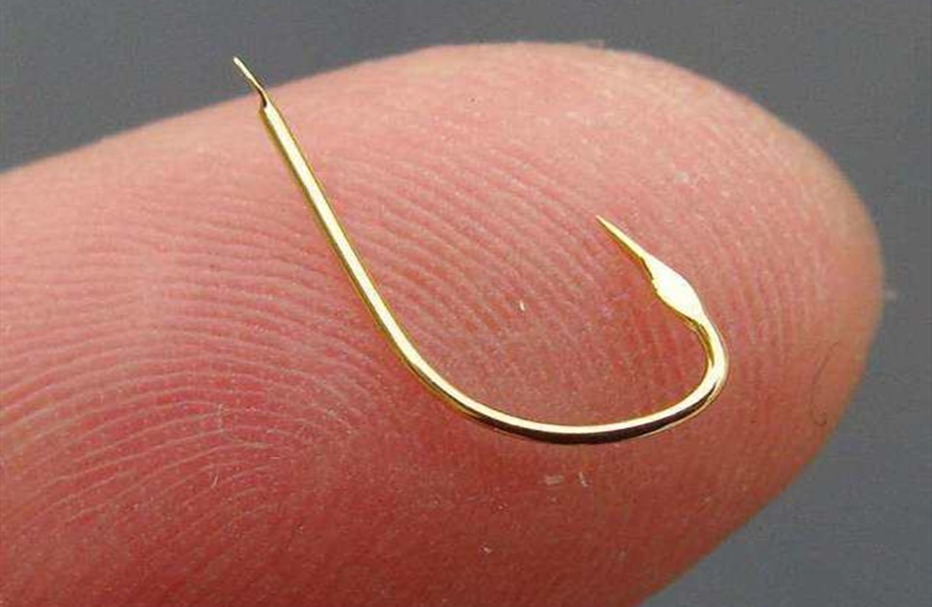 野钓哪种鱼钩可以大小兼顾,野钓选择什么鱼钩可以大小兼顾