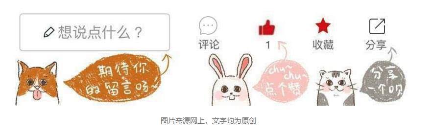 六角恐龙宠物,宠物六角恐龙