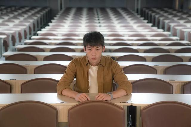 阳光普照悲剧背后的真相,阳光普照中的家庭价值观念