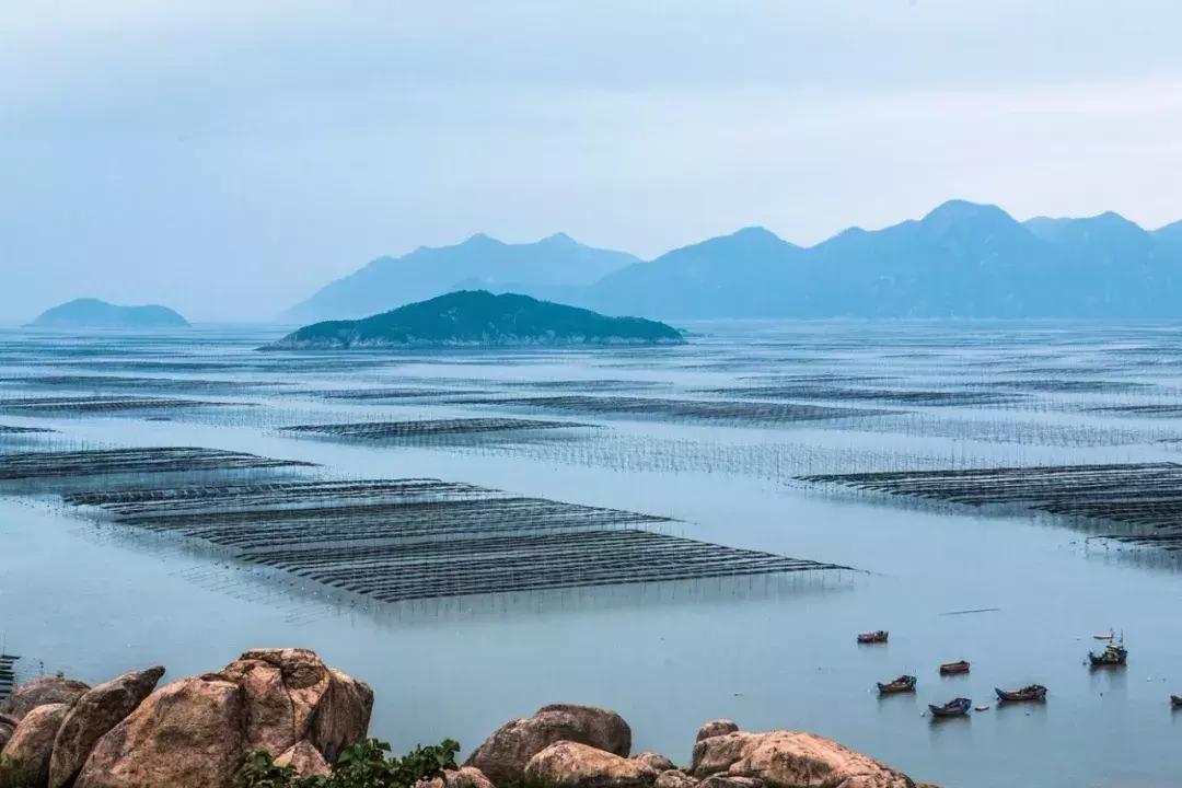 照片好不好看不重要姿势很重要,照片特别好看不知道该选哪个了