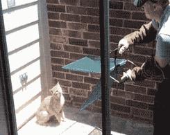 揭秘互联网比较常见的网赚骗局,知识分享割韭菜新套路