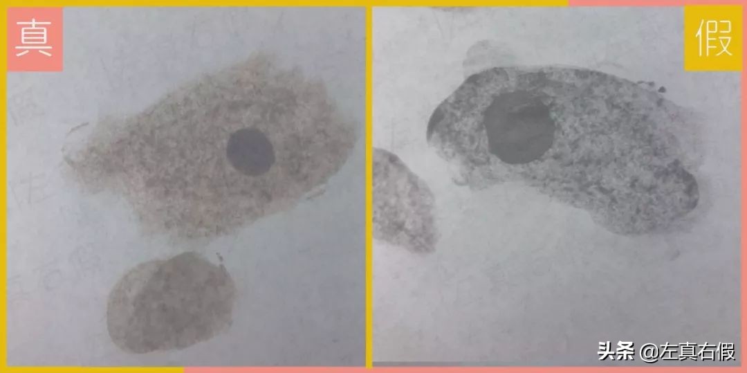 清透隔离防晒,适合油皮的隔离防晒推荐