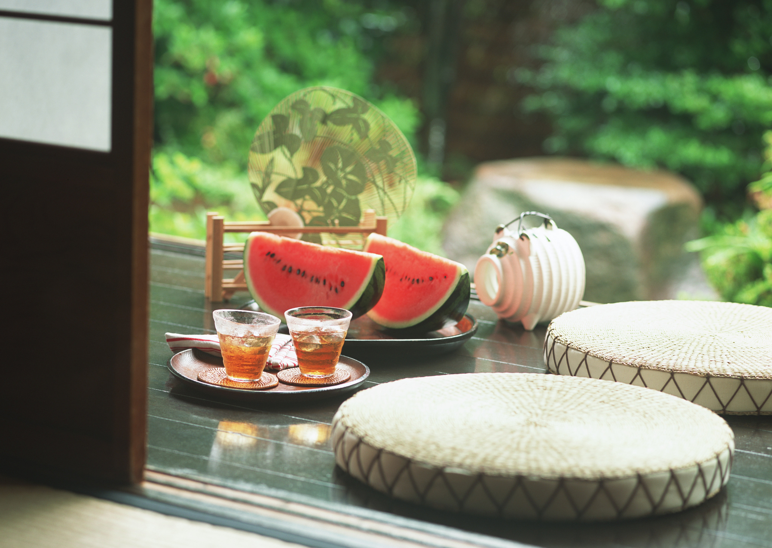 夏季蚊虫叮咬止痒的植物,蚊虫叮咬夏天如何防止