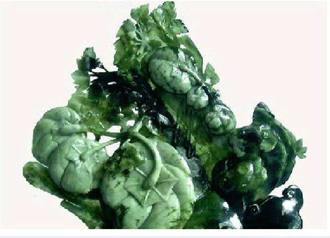 25种黄金首饰,25种珠宝