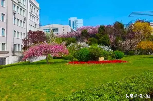 大连中学排名500强,大连市有全国百强学校吗