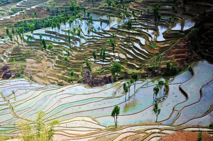 红河梯田和元阳梯田面积,元阳梯田也叫红河哈尼梯田