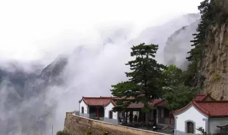 春暖花开，北京周边适合登高的地方，花开正美！还有专线能直达一个5*级A**长城景区！