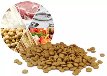 宠物食品发展特征及问题分析,宠物食品需要具备哪些要求