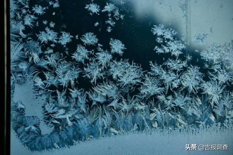 清晨玻璃窗上结满了霜花,唐古拉玻璃窗上的霜花